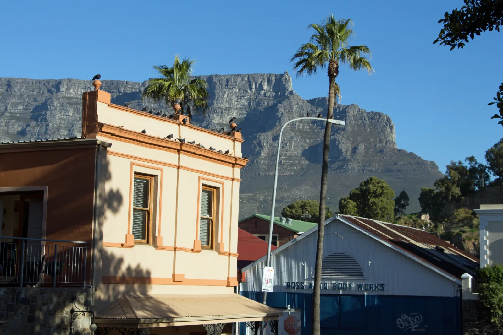 Table Mountain framed by the rooftops of De Waterkant